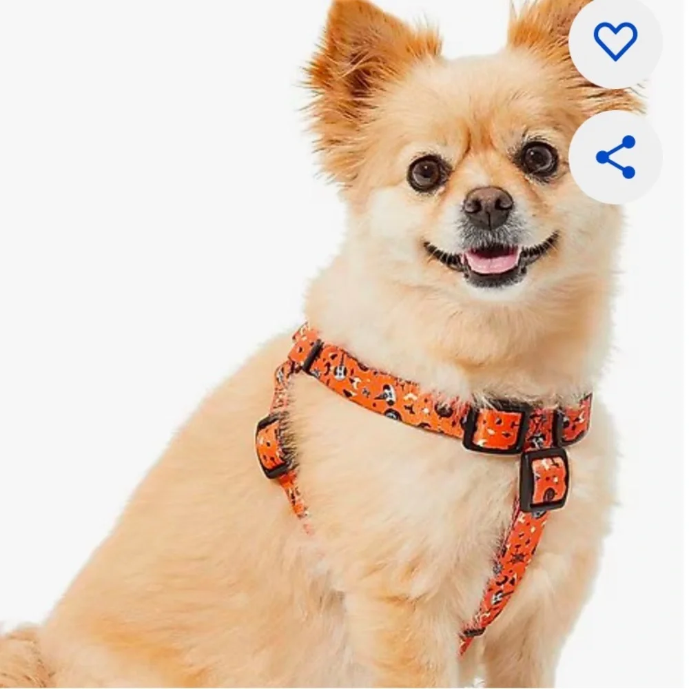 NWT Spooky Minnie Halloween Dog Harness L